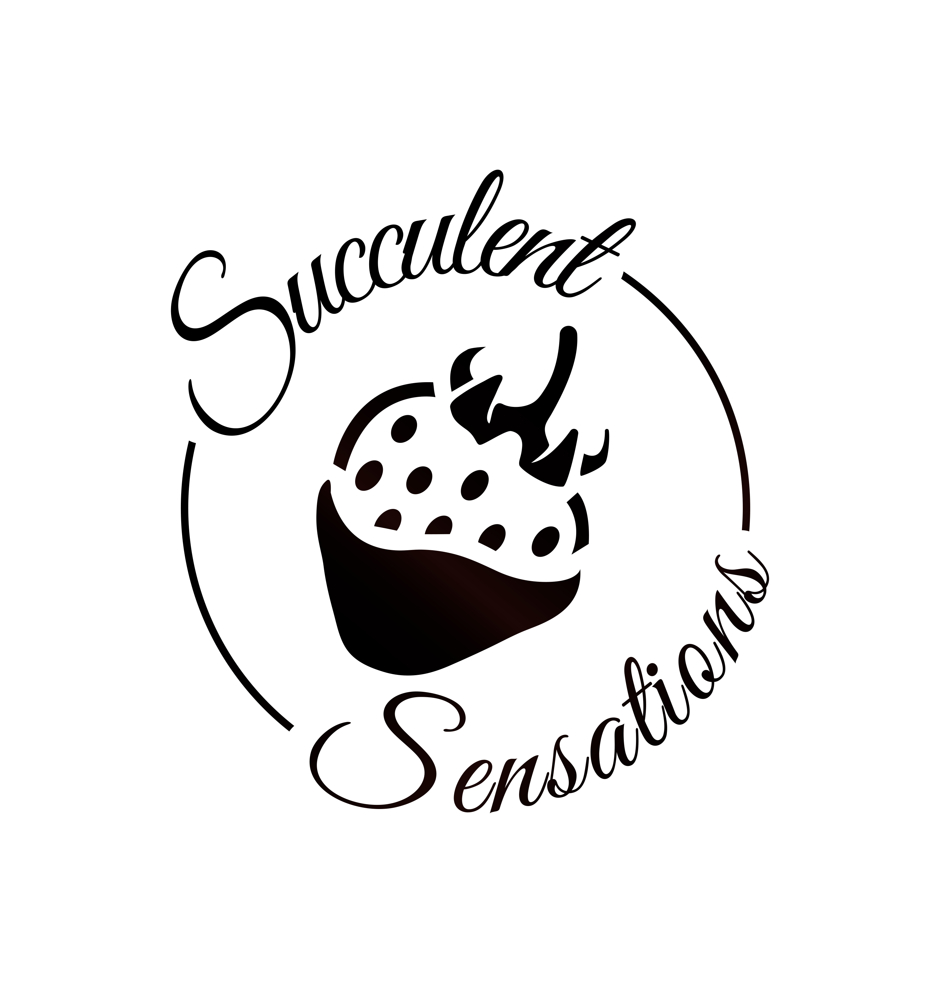 Succulent Sensations